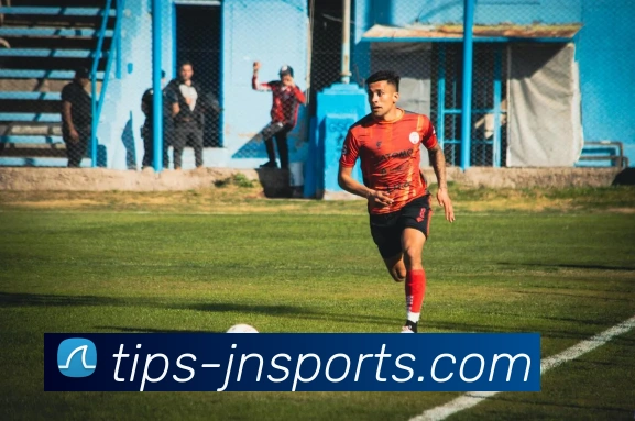 江南体育平台生态图